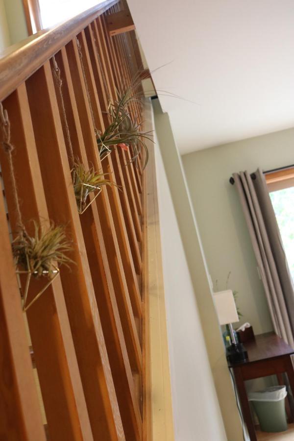 Five Elements Lodge B&B With Outdoor Spa Fernwood エクステリア 写真